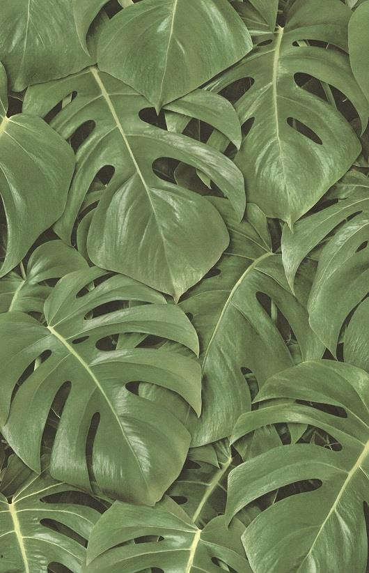 441802 Обои Rasch коллекция Freundin 2 441802 Обои Rasch коллекция Freundin 2