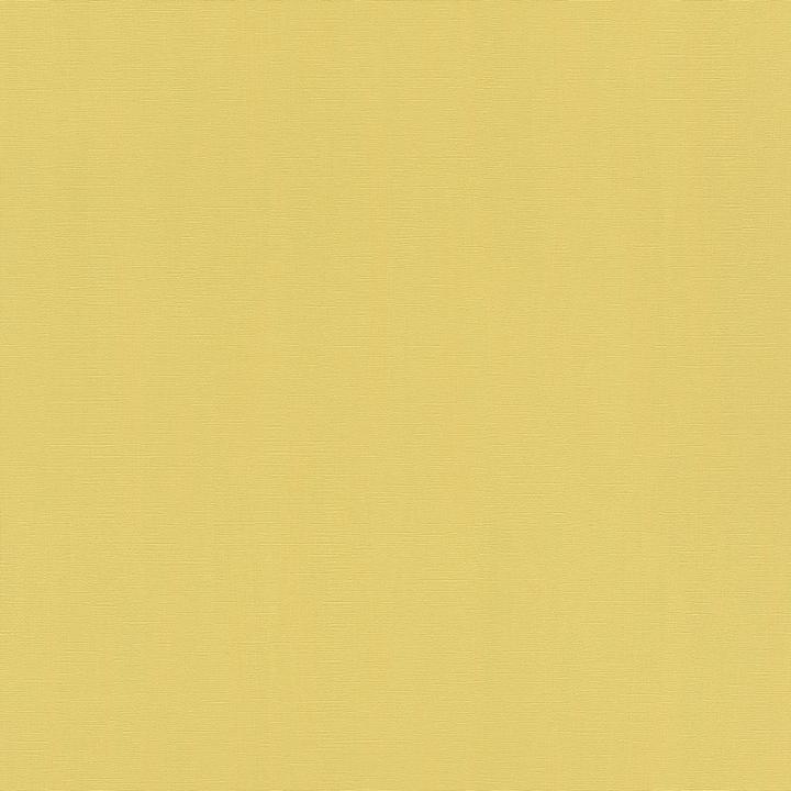 411836 шпалери Rasch колекція Hyde Park 411836 шпалери Rasch колекція Hyde Park