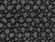 81120 Шпалери  NUMA Hohenberger Німеччина оксамит