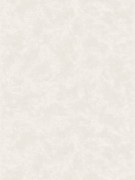 12027889 Шпалери HOME Ugepa  Франція