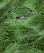 L 32904 Шпалери HOME Ugepa  Франція