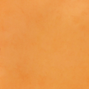 8699 ET  Шпалери Free Style Ugepa  Франція