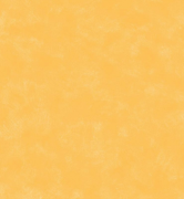 8699 EU  Шпалери Free Style Ugepa  Франція