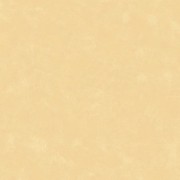 8699 GV  Шпалери Free Style Ugepa  Франція