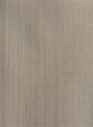 21768  Шпалери ITALIAN SILK 6 Sirpi Італія