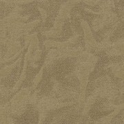 71925 Levante Emiliana Parati Італія