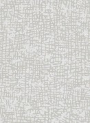 1763-01 Шпалери Erismann Cassiopeia Німеччина