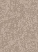 1763-02 Шпалери Erismann Cassiopeia Німеччина