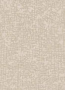 1763-14 Шпалери Erismann Cassiopeia Німеччина