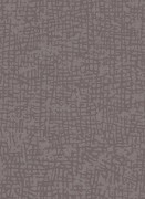 1763-37 Шпалери Erismann Cassiopeia Німеччина