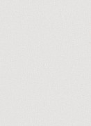 1770-26 Шпалери Erismann Cassiopeia Німеччина