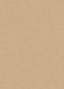 1770-30 Шпалери Erismann Cassiopeia Німеччина