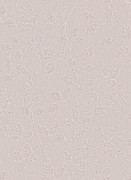 1774-38 Шпалери Erismann Cassiopeia Німеччина