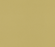 612042  Шпалери GLOBE Rasch Німеччина