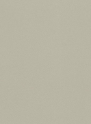 612066  Шпалери GLOBE Rasch Німеччина