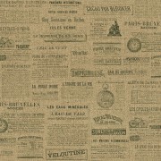 939019  Шпалери GLOBE Rasch Німеччина