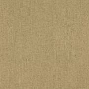 939118  Шпалери GLOBE Rasch Німеччина