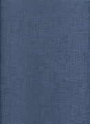 941012  Шпалери GLOBE Rasch Німеччина