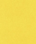 860177 шпалери Rasch колекція B.B Home Passion VI