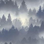 860832 шпалери Rasch колекція B.B Home Passion VI