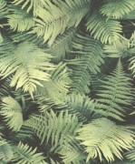 860917 шпалери Rasch колекція B.B Home Passion VI