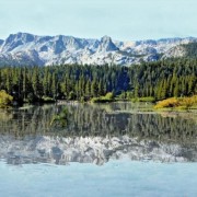 L 59501  Шпалери Ugepa колекція Horizont Франція