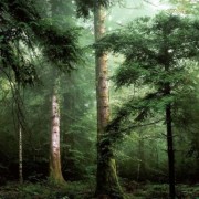 L 59604  Шпалери Ugepa колекція Horizont Франція