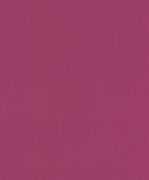 527377  Шпалери Rasch колекція Barbara Home