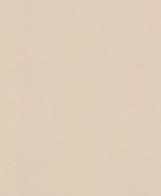 607772 обои Rasch коллекции Gypso 