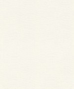 700572 обои Rasch коллекции Gypso 