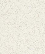 700701  обои Rasch коллекции Gypso 