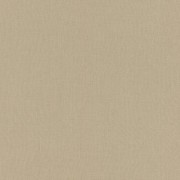 424096  обои  Rasch коллекция Poerty