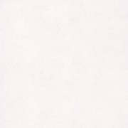 PAI 100220000 Шпалери Caselio  Patine Франция