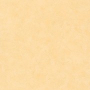 PAI 100222508 Шпалери Caselio  Patine Франция