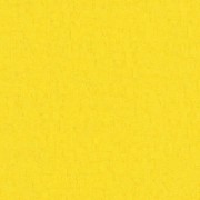 220077  шпалери  BN Intarnational колекція Van Gogh 2