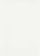 6381-01  шпалери Erismann колекція Palais Royal