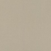 960709 обои  Rasch коллекция Maximum XVI