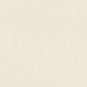 960761 обои  Rasch коллекция Maximum XVI