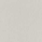 960785 обои  Rasch коллекция Maximum XVI