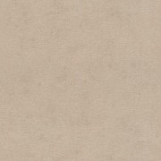 408164 Шпалери Rasch колекція Kimono