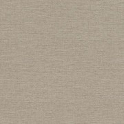 970647 шпалери  Rasch колекція Jolly