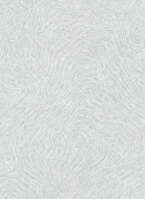 12157-10 обои Erismann коллекция Focus