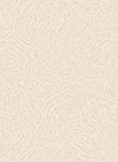 12157-02 обои Erismann коллекция Focus