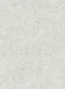 12156-02 шпалери Erismann колекція Focus 