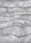 12153-47 шпалери Erismann колекція Focus 