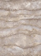 12153-32 шпалери Erismann колекція Focus 