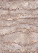 12153-11 шпалери Erismann колекція Focus 