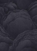 12152-15 шпалери Erismann колекція Focus 