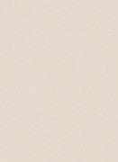 12112-32 шпалери Erismann колекція Focus 