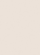 12112-02 шпалери Erismann колекція Focus 